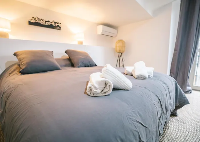 Face A La Cite, Terrasse Et Climatisation - Ae Apartment *